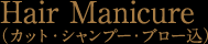 Hair Manicure(カット・シャンプー・ブロー込)
