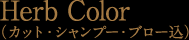 Herb Color(カット・シャンプー・ブロー込)