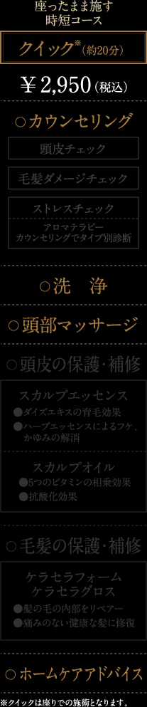 【クイック】座ったまま施す時短コース(約20分)¥2,700(税込)